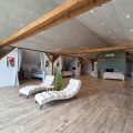 bed-and-breakfast-denkmark-vojens-parrotplace--001- (20)