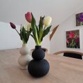 bed-and-breakfast-denkmark-vojens-parrotplace--001- (28)