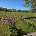 bed-and-breakfast-denkmark-vojens-parrotplace--001- (5)