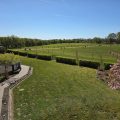bed-and-breakfast-denkmark-vojens-parrotplace--001- (6)