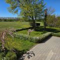 bed-and-breakfast-denkmark-vojens-parrotplace--001- (7)