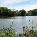 unterkunft-ferienwohnung-vojens-parrotplace-2